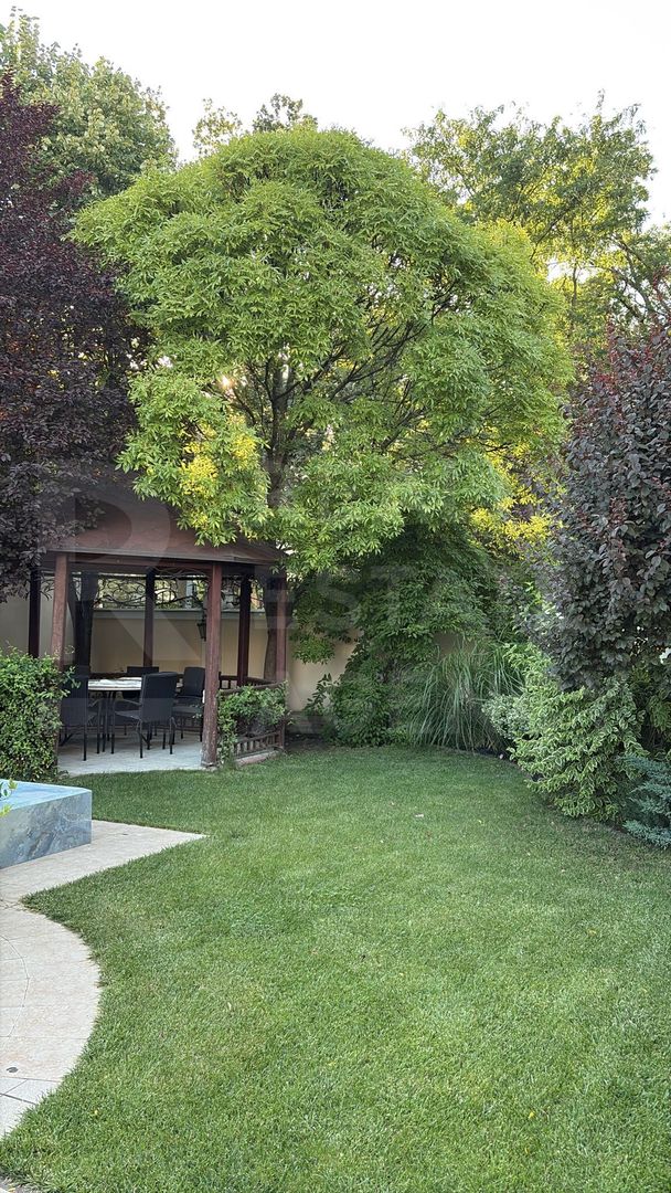 Chirie, casă, 3 nivele, 8 camere, str. Universității, Centru - Poză 2