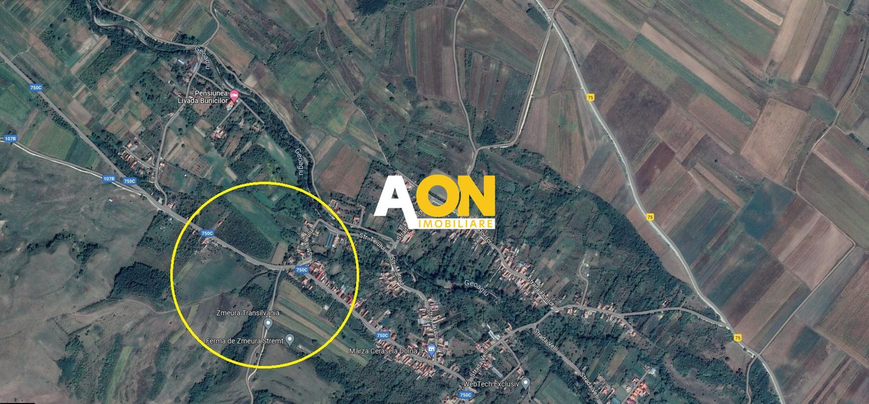 Teren intravilan de vanzare 3.000mp + 20.000mp extravilan - Poză 2