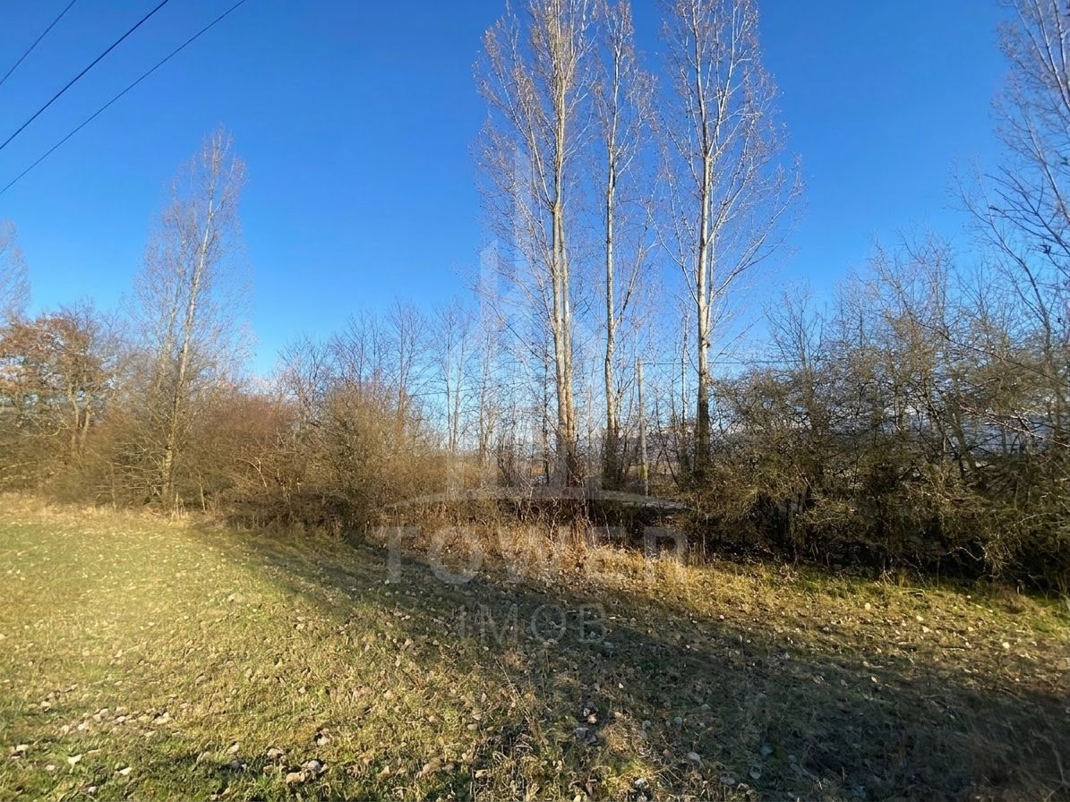 Teren de 7.500 mp de vânzare în Bradu, Avrig-COMISION 0% – lângă râul Olt. - Poză 9