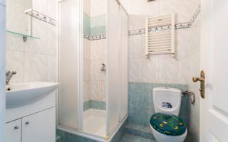 Vânzare, casă 236 mp, str. București, Centru. - Poză 10