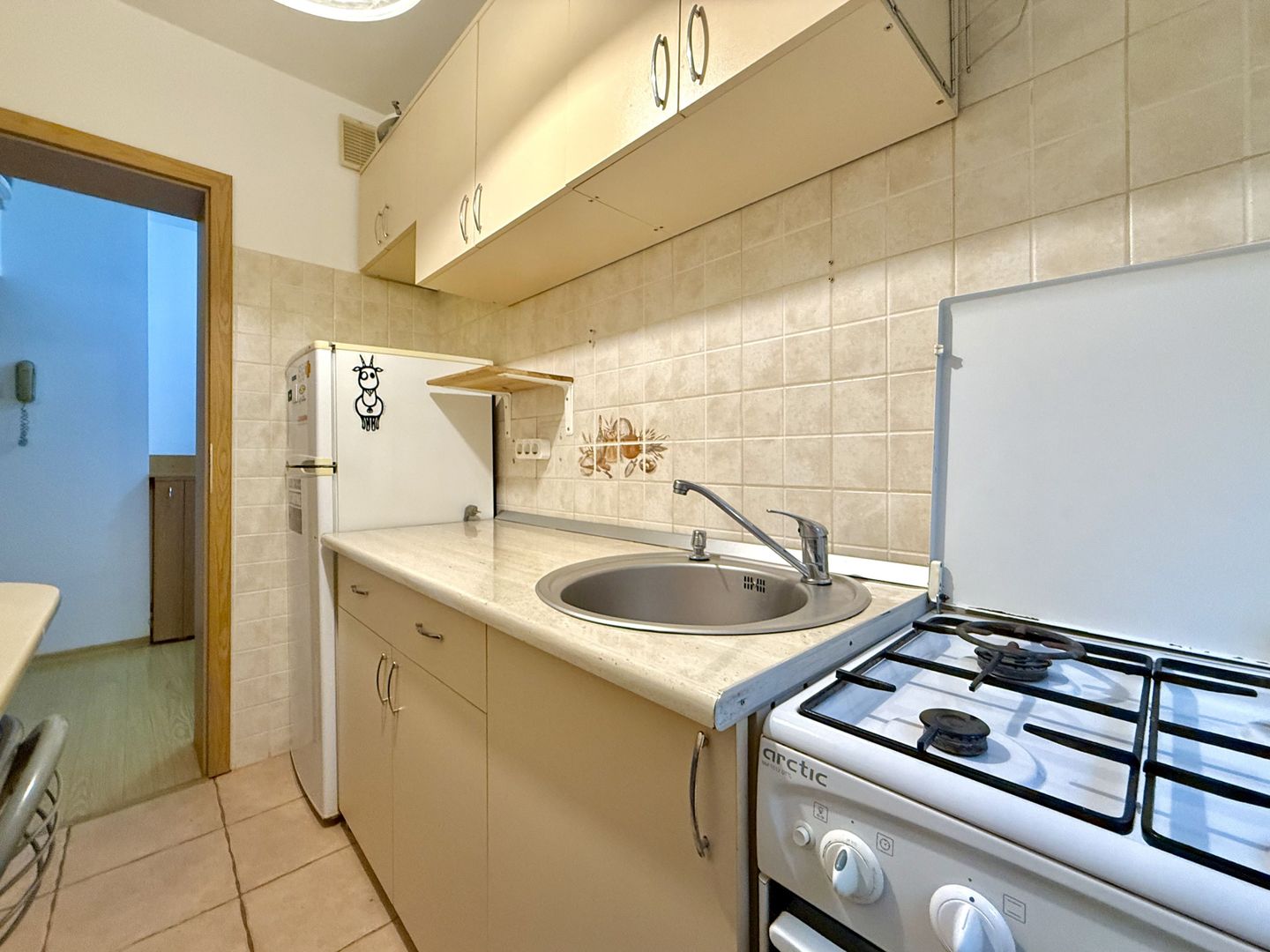 Apartament cu 3 camere în zona Gheorghe Lazăr - Dacia, pet friendly - Poză 19