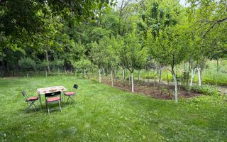 OCAZIE RARĂ - Teren cu cabană de vânzare lângă Lacurile Naturale - Ocna Sibiului - Poză 7