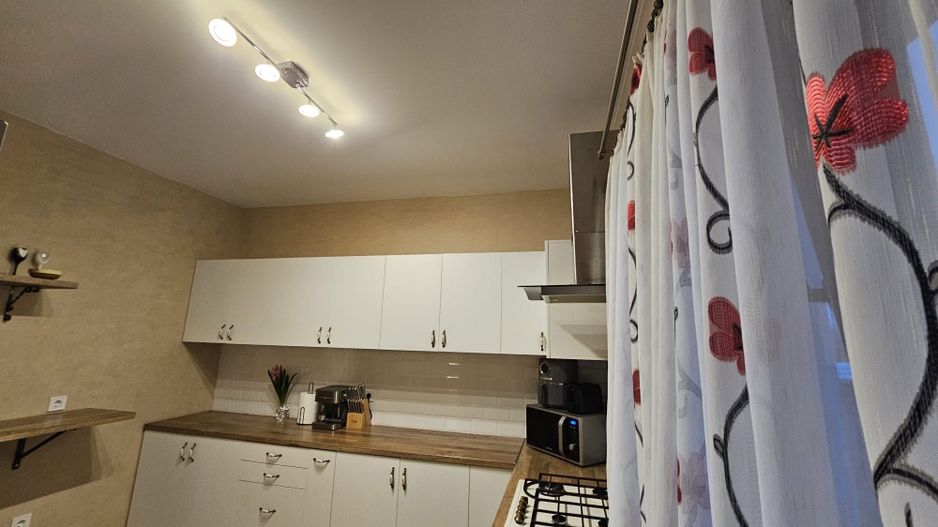 Vila individuala la 30 km de Timișoara - Poză 15