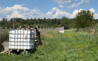 Teren intravilan, 2300mp - Vinerea ( Cugir ) - Poză 4