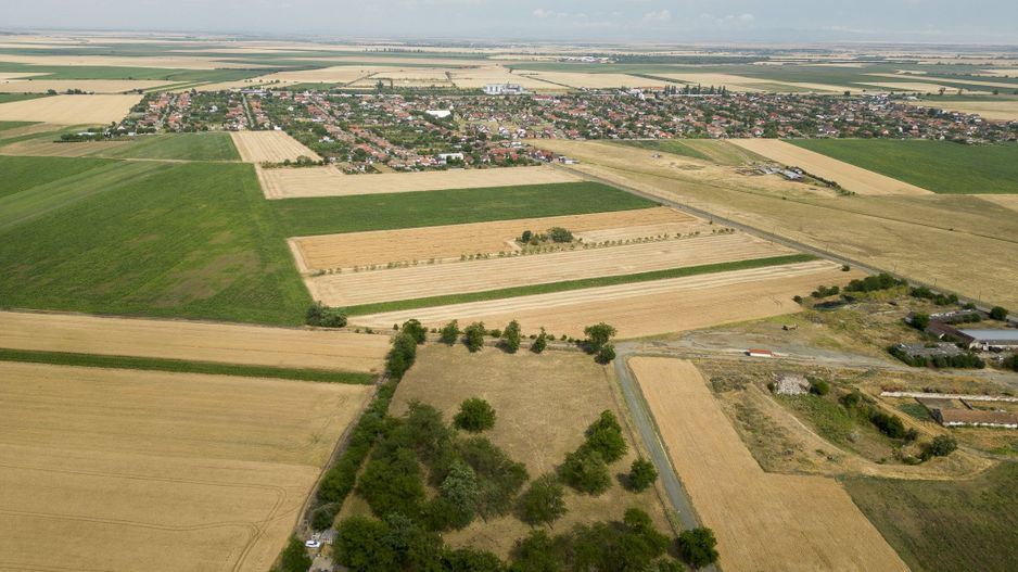 Teren intravilan Şofronea - Poză 5