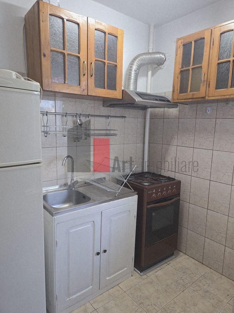 Garsoniera Costin Georgian - Poză 8