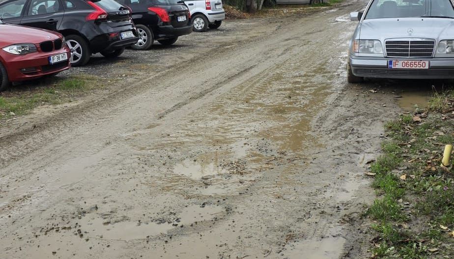 1 DECEMBRIE - TEREN 2500 MP - Poză 2