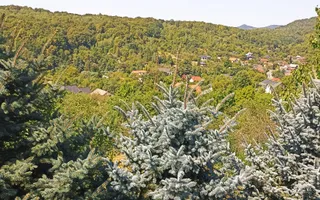 Vilă P+M, 10 ari teren, panoramă superbă – Valea Borcutului - Poză 14