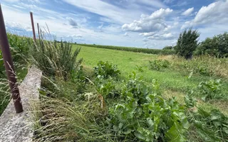 Casă de vânzare Frătăuții Vechi | Teren 1.970 mp - Poză 24