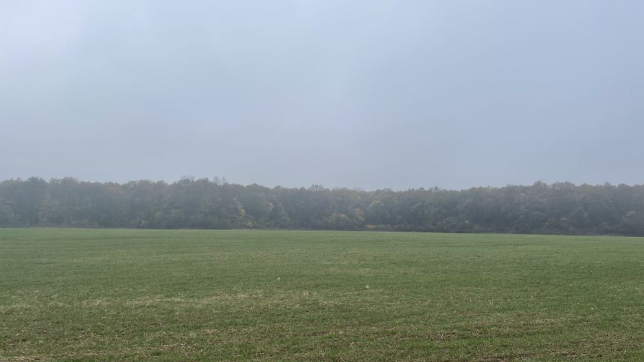 9400 mp | Ideal pentru investitie | Tunari | Deschidere la padure - Poză 8