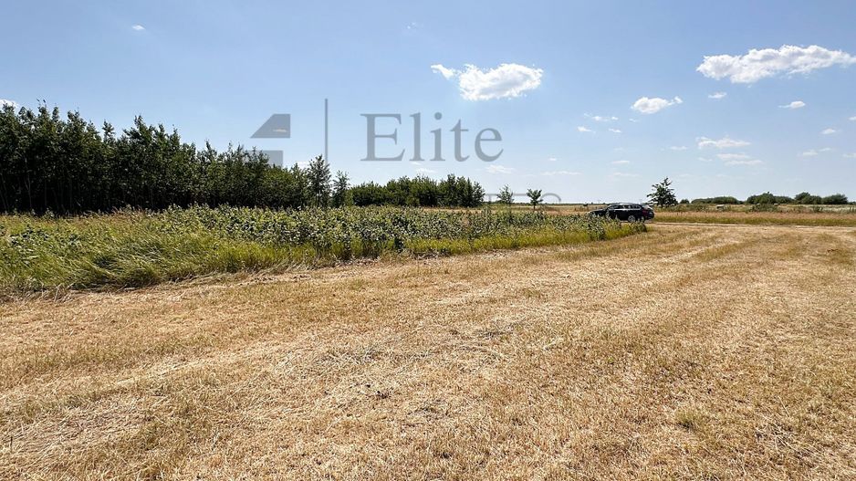 Teren intravilan 1114 mp Sanmartin - Poză 2