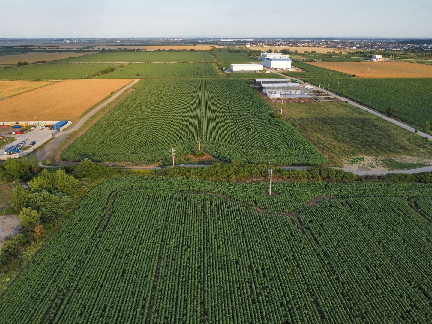 Parcele teren industrial cu PUZ - 2.700 mp, Giarmata - Poză 4