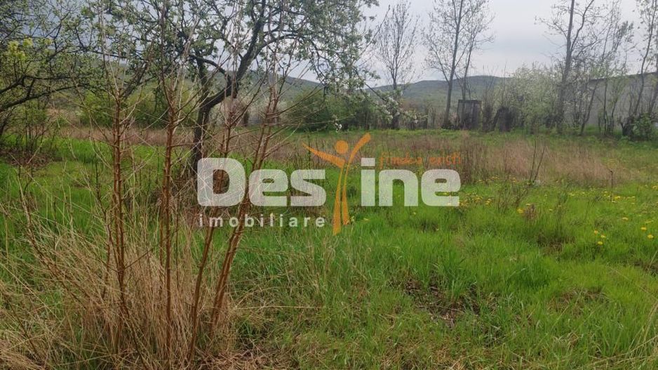 Teren intravilan in suprafata de 3160 mp, Puscasi, Poiana lui Alexa - Poză 3
