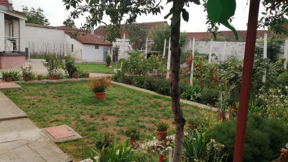 PROPRIETATE CU 2 CASE ȘI CURTE\VALEA TIMIȘULUI\JUD.CS - Poză 4