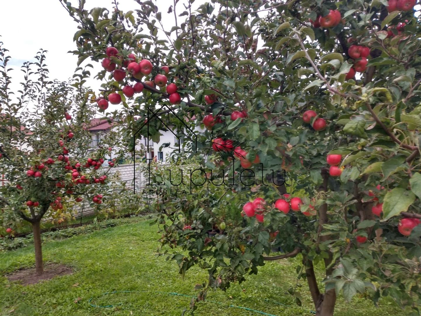 Casa de Vanzare | Individuala | 5 Camere |  184 MPU | Sura Mare - Poză 16