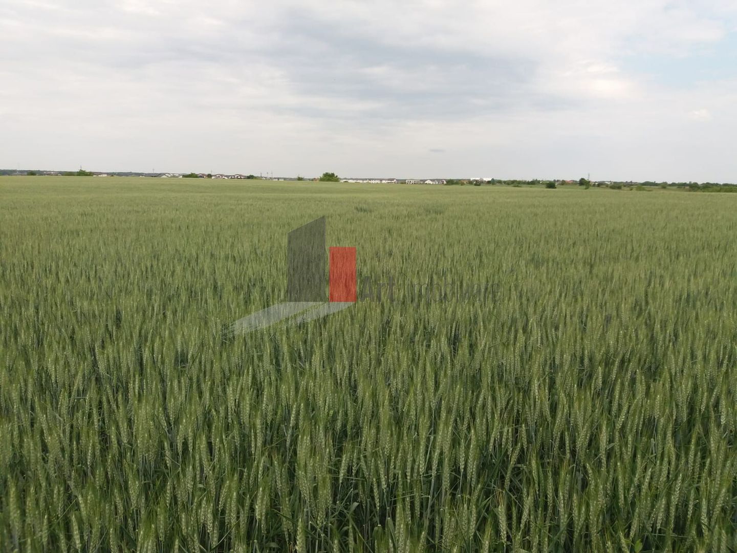 Teren Buftea cu iesire la lac - Poză 7