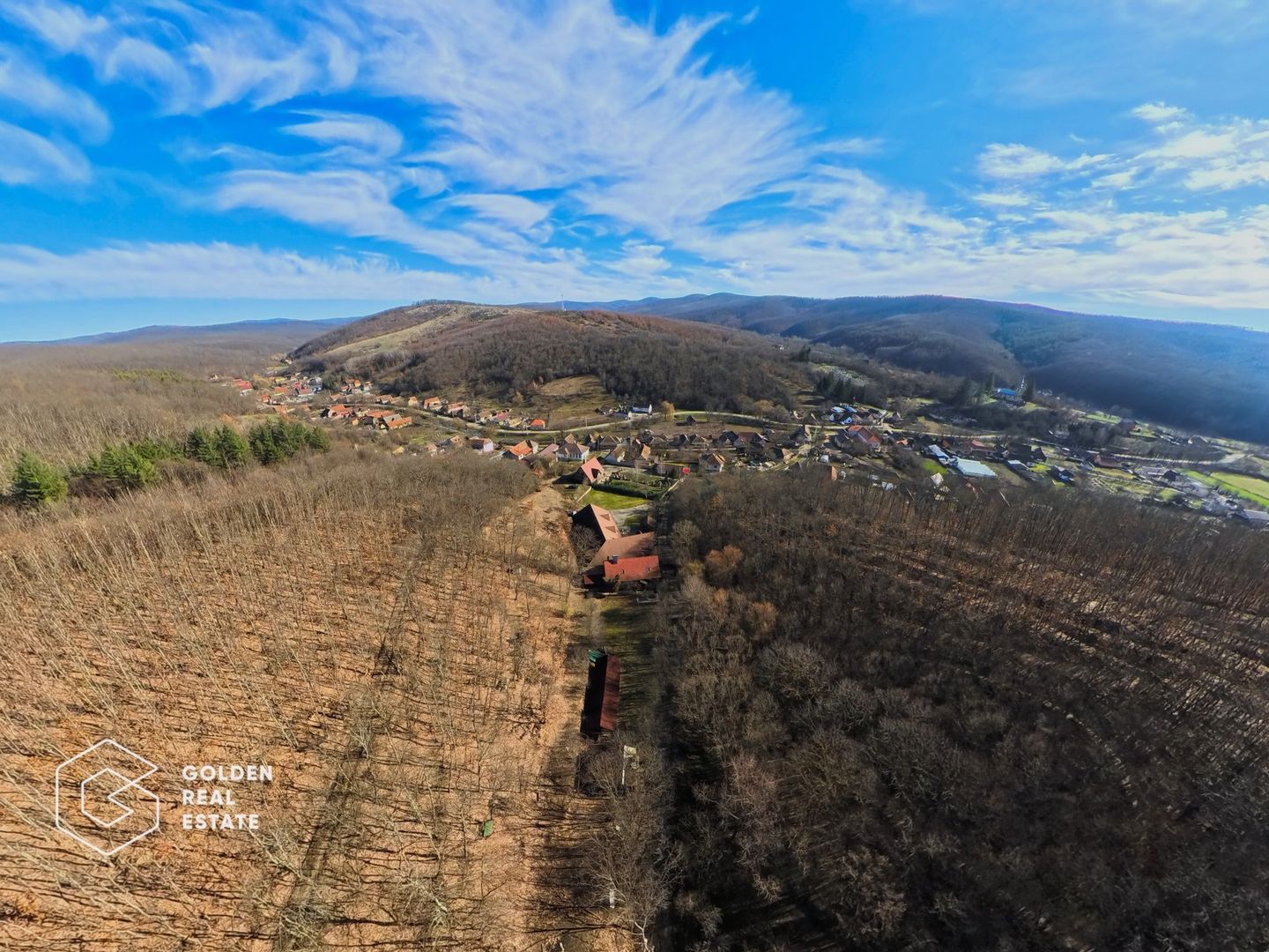 Proprietate pretabila pentru afacere, Cladova - Poză 36