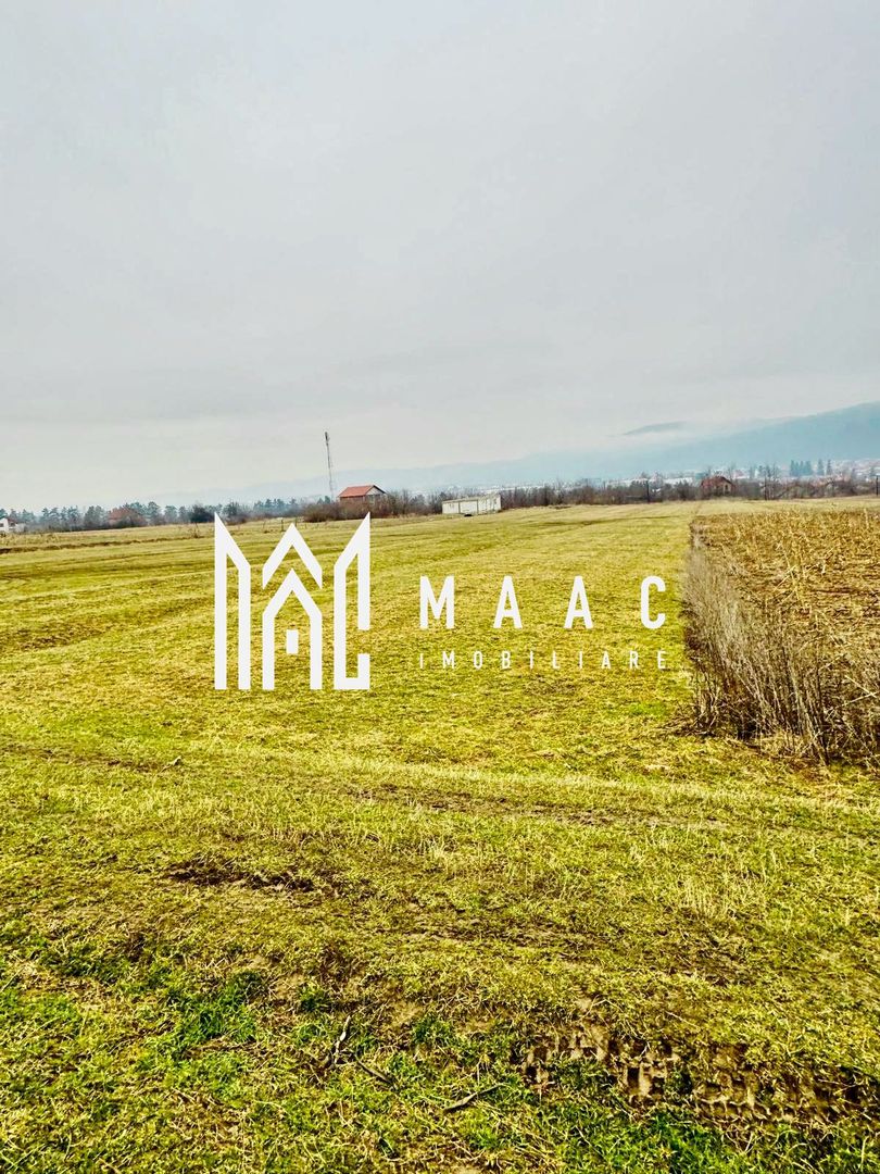 Teren | Oportunitate de investiție | 859 MP | Intravilan | Tălmaciu - Poză 4