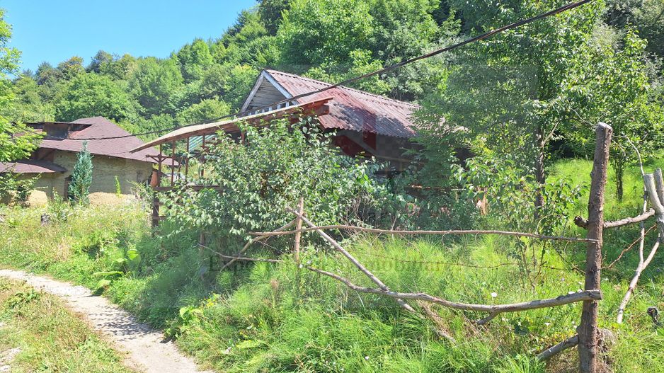 VANZARE ANSAMBLU CASUTE BRADULET ARGES - Poză 20