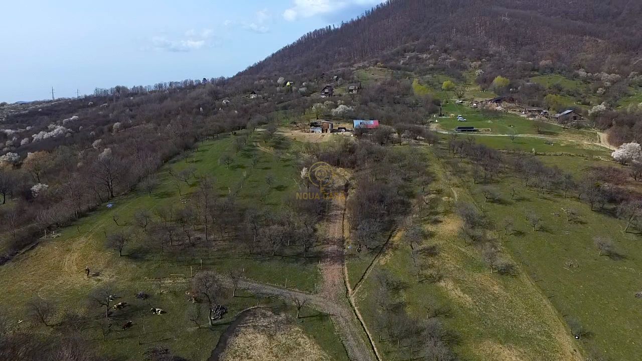 OPORTUNITATE !Teren 1 Hectar Strada Nucului -PRIVELISTE PANORAMICA - Poză 5
