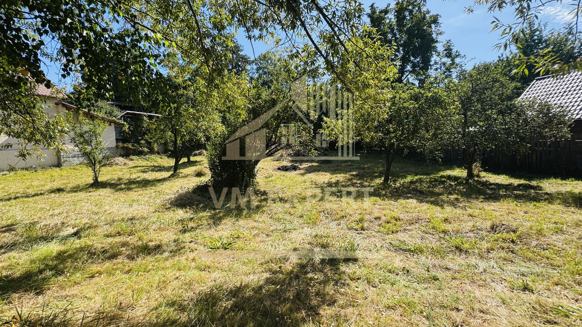 TEREN INTRAVILAN 3234 MP LEREȘTI VOINEȘTI ARGEȘ - Poză 12