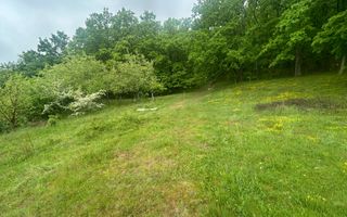 Teren Extravilan 4.572mp | Zonă liniștită | Sadu - Poză 13