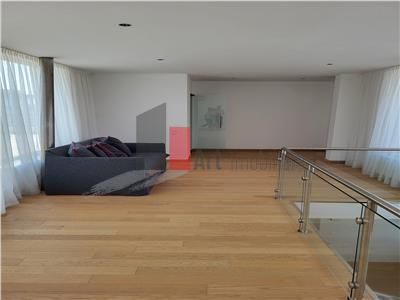 Inchiriere  Vila  Erou  Iancu de Nicolaie - Jolie Ville - Poză 37