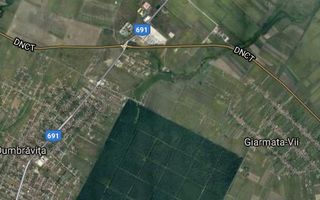 TEREN DUMBRAVITA APROAPE DE PADUREA VERDE - Poză 1