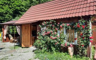 Pensiune de vânzare I Transfăgărășan, Cărțișoara, jud. Sibiu - Poză 15