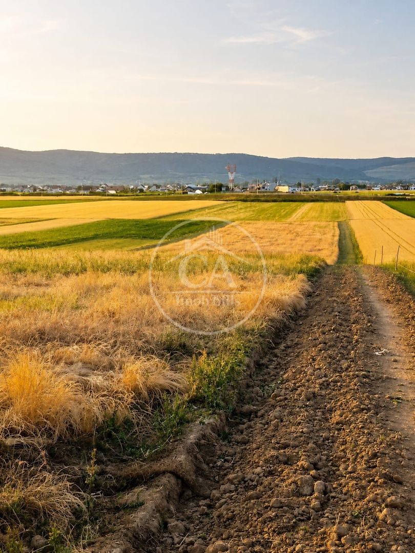 Teren intravilan de vanzare in Alparea, Bihor - Poză 3