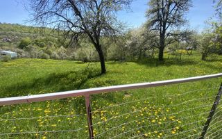 TEREN INTRAVILAN 3265 MP, VALEA MARE PRAVAT, ARGES - Poză 5