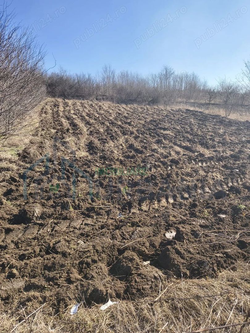 Teren intravilan Cuza Vodă, Popricani, Iași - Poză 1