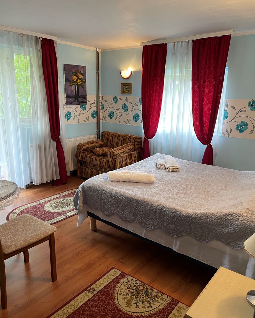 Proprietate in incantarea naturii, oportunitate investitie/rezidential, Predeal - Poză 20
