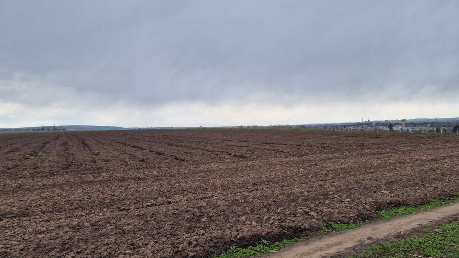 Teren 10,000mp Bacau / Strada Alexandru Safran - Poză 8