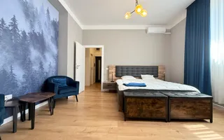 Apartament 2 camere, elegant si spațios, in Piața Victoriei - Opera - Poză 11