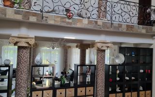 INCHIRIERE -2 VILE -ZONA MOGOSOAIA - Poză 57