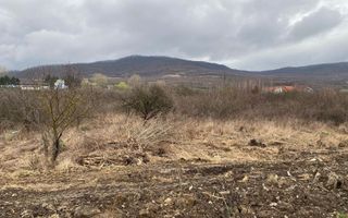 Teren 12,719 mp cu deschidere la DN17-ideal hala/parcare-Crainimat - Poză 3