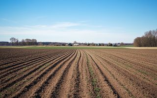 362 HA Teren Agricol – Proprietate Privată în Vestul României - Poză 1