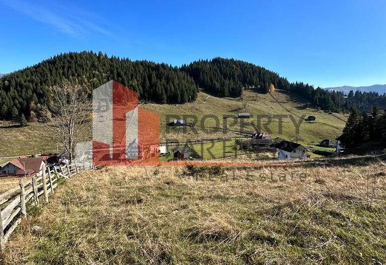 Teren Fundatica intravilan 4500 mp - Poză 9