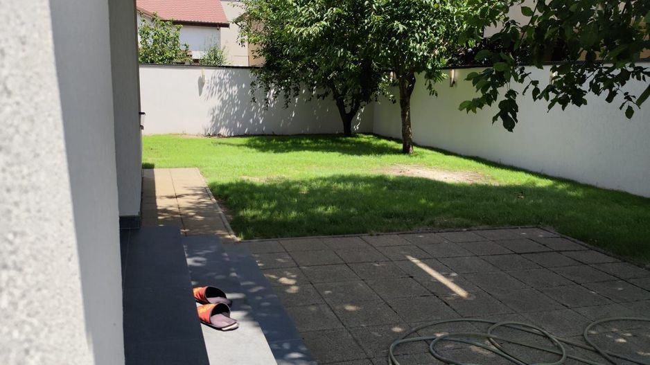 Padurea Craiului - Poză 6