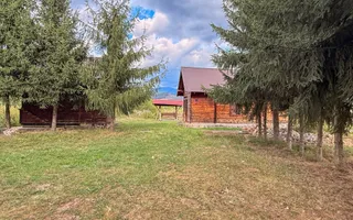 Pensiune cu 6 iazuri și 22 locuri | Peștera Urșilor | Apuseni - Poză 11