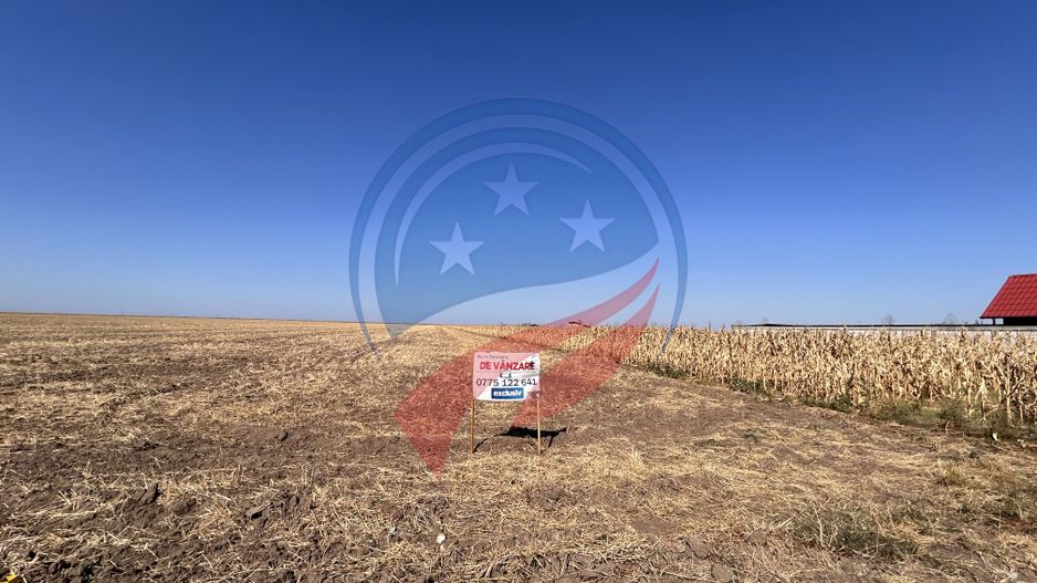 Teren intravilan 5087 mp de vânzare – Pielești - Poză 9