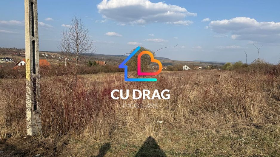 Teren intravilan cu toate utilitatile si drum amenajat Daia - Poză 4