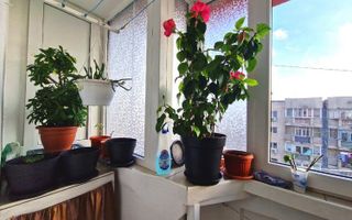 Apartament 4 Camere | 13 Septembrie | Sebastian | mobilat si utilat | - Poză 13