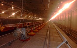 De vanzare ferma de gaini ouatoare in sistem free-range | 45.000 mp teren - Poză 7