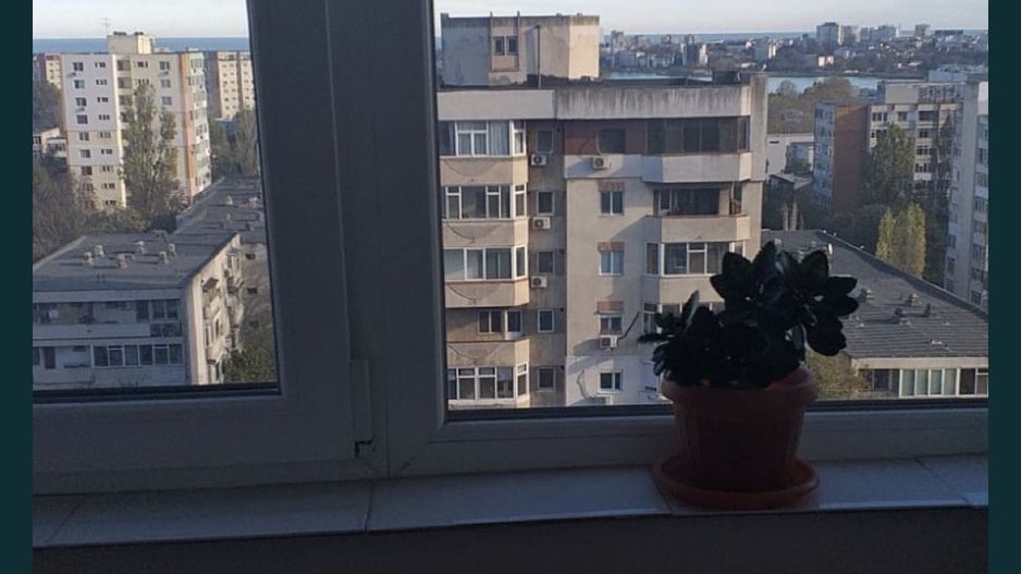 Apartament 3 camere - Poză 3