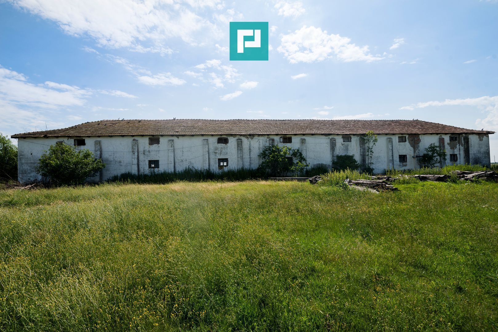 Hală industrială cu teren generos în Zărand, Arad - Poză 8