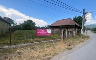 GRADINA BUNICII DE ODINIOARA,DE VANZARE -PAPAUTI,COVASNA. - Poză 3