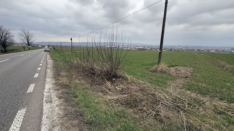 Teren intravilan | Grănicesti | 32 ARI - Poză 7