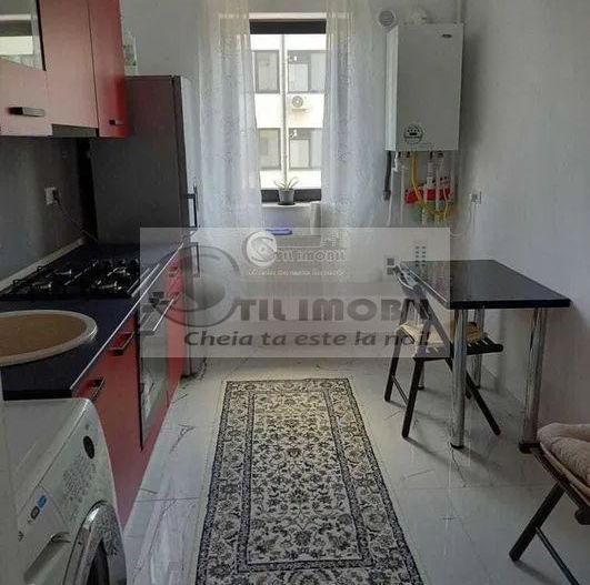 Apartament 2 Panoramic Rezidence - 360 euro - Poză 4